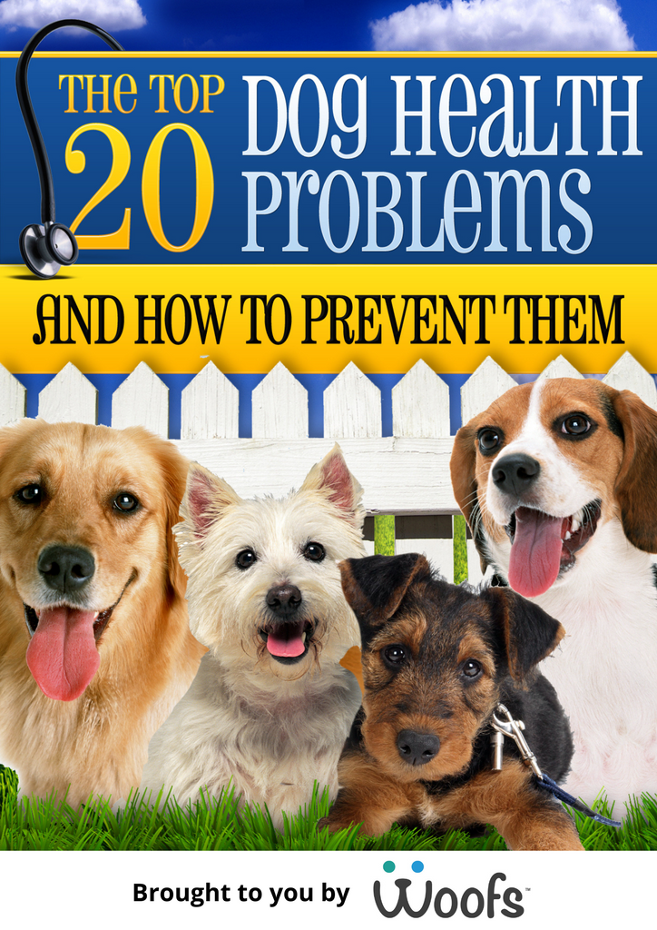 Pet online health problems