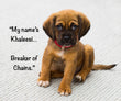 Six fun ways to name your dog and what to avoid