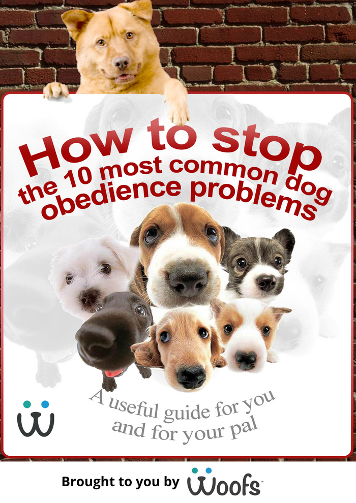 How To Stop The 10 Most Common Dog Obedience Problems eBook - WOOFS