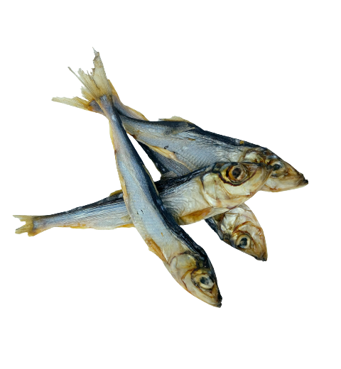 Healthy Natural Herring - WOOFS