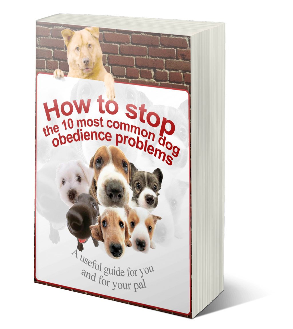 How To Stop The 10 Most Common Dog Obedience Problems eBook - WOOFS
