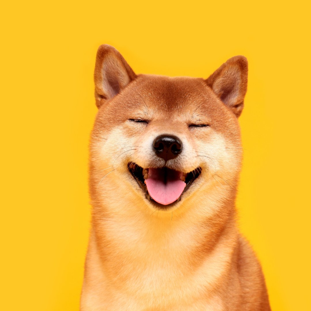 Happy Woofs